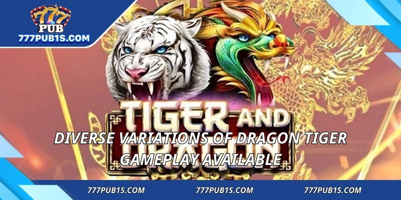 Diverse variations of dragon tiger gameplay available