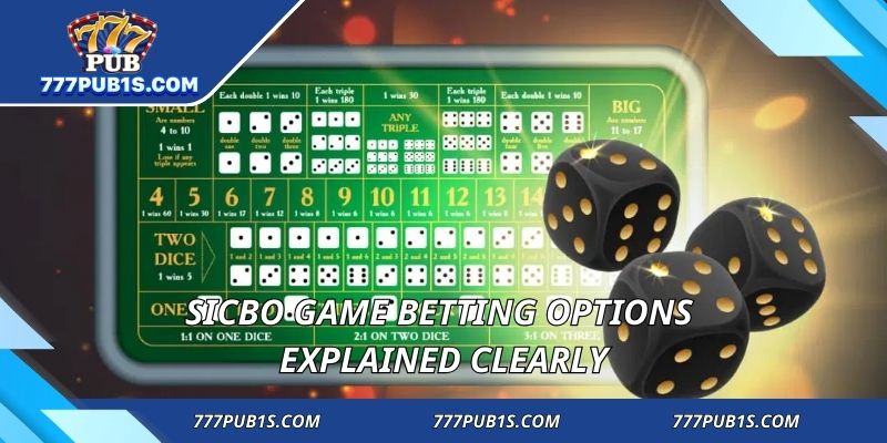 Sicbo game betting options explained clearly