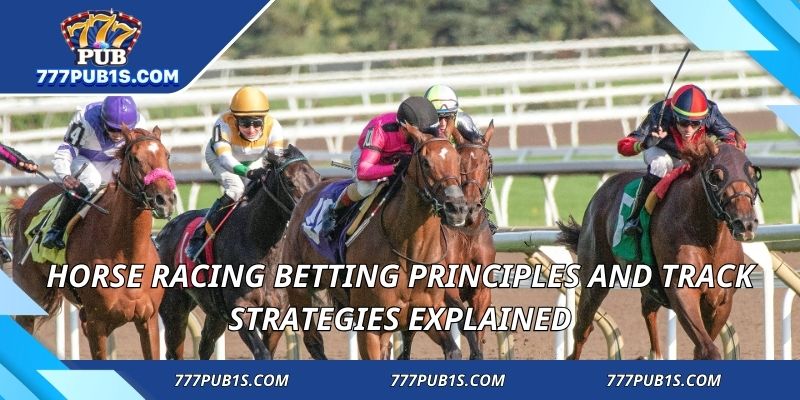 Horse Racing Betting principles and track strategies explained