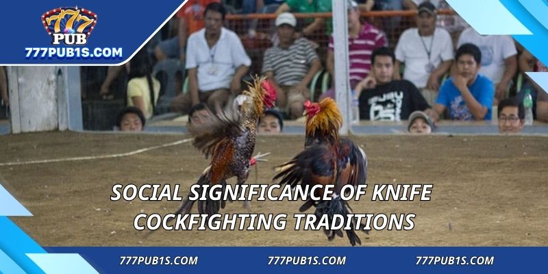 Social significance of knife cockfighting traditions