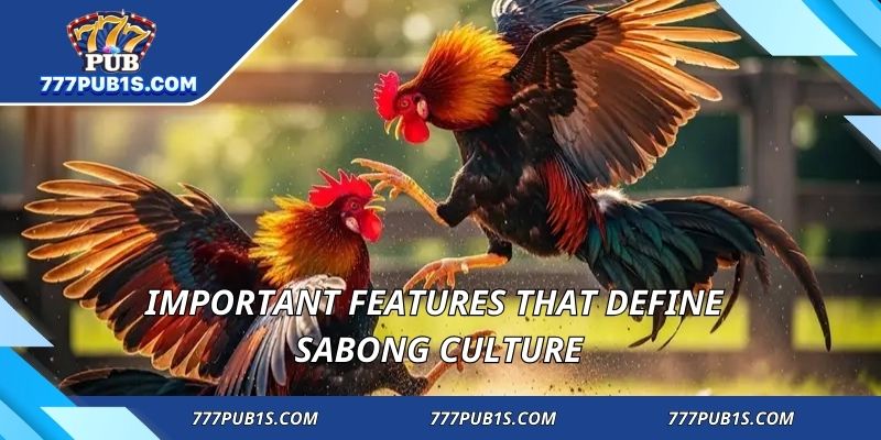 Important features that define sabong culture