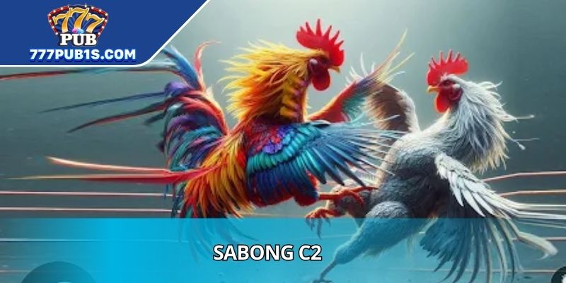 Sabong C2 Tradition, Rules, Gameplay, And Modern Influence