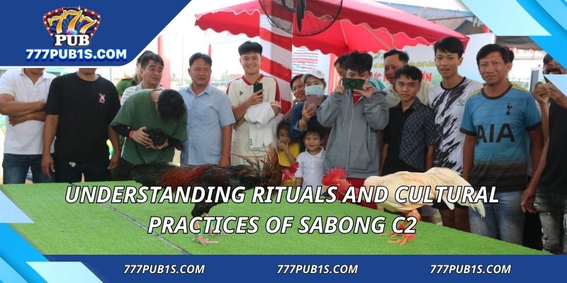Understanding rituals and cultural practices of sabong C2