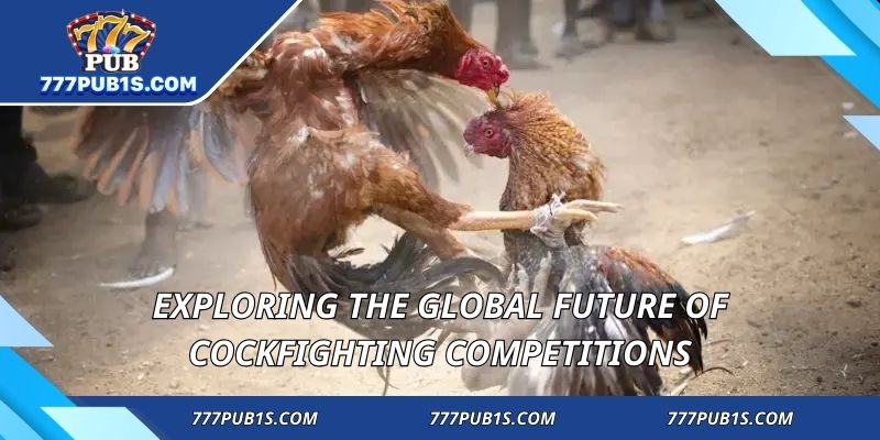 Exploring the global future of cockfighting competitions