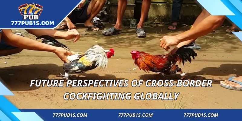 Future perspectives of cross-border cockfighting globally