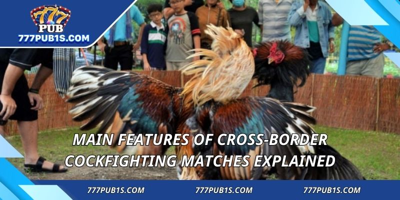 Main features of Cross-border Cockfighting matches explained