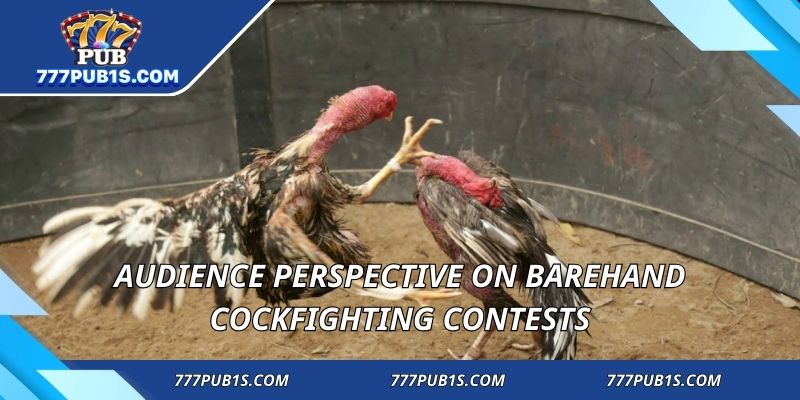 Audience perspective on barehand cockfighting contests