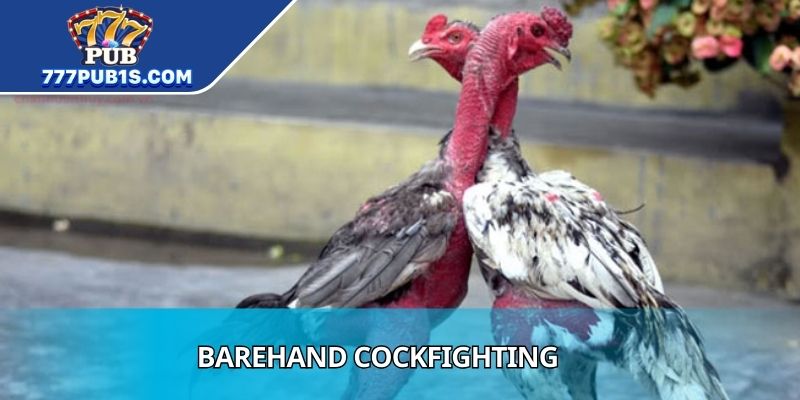 Barehand Cockfighting