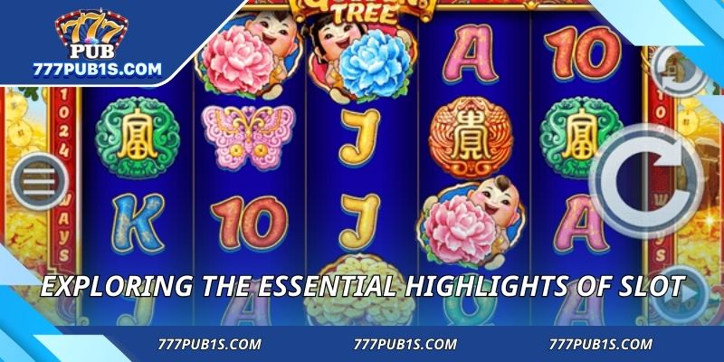 Exploring the essential highlights of slot
