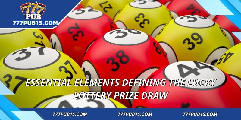 Essential elements defining the Lucky Lottery Prize Draw