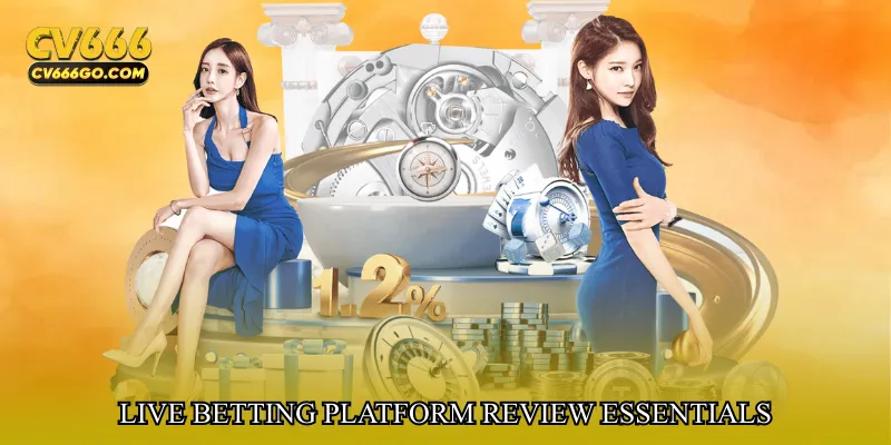 Live betting platform review essentials